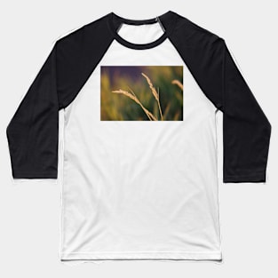 Grass and Blue II Baseball T-Shirt